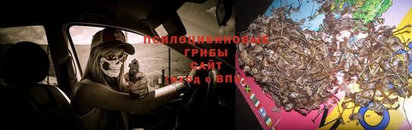 прущие крисы Няндома