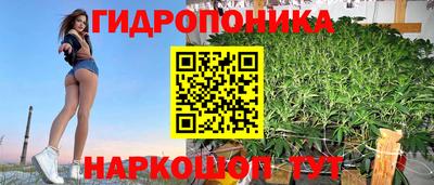 ECSTASY Ирбит