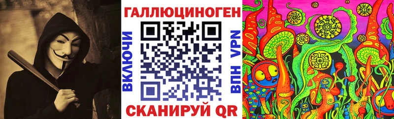 kraken tor  Красный Сулин  Галлюциногенные грибы мицелий 